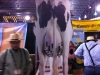 Lancaster County (beer cow)