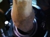 there\'s bacon in that keg
